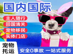 乌兰察布航空货运国际宠物托运 【国